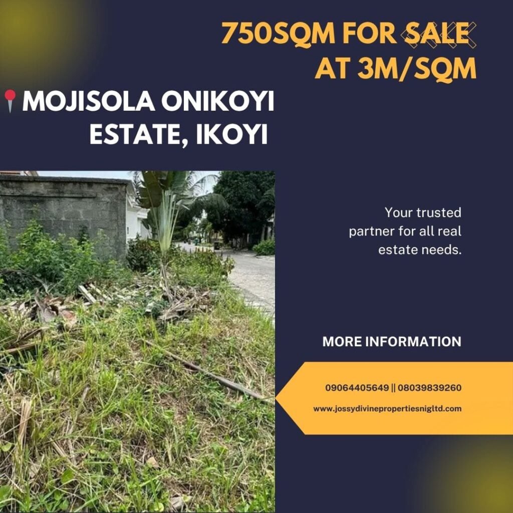 920sqm and 750sqm for sale in Mojisola Onokoyi Esate