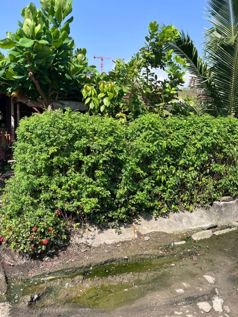 4 bedrooms semi detached duplex for sale in victoria Isalnd