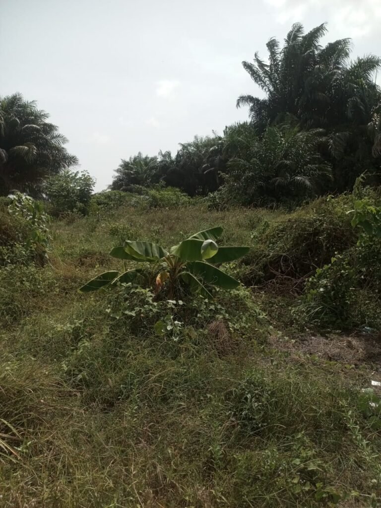 1136sqm of land for sale At Abijo GRA