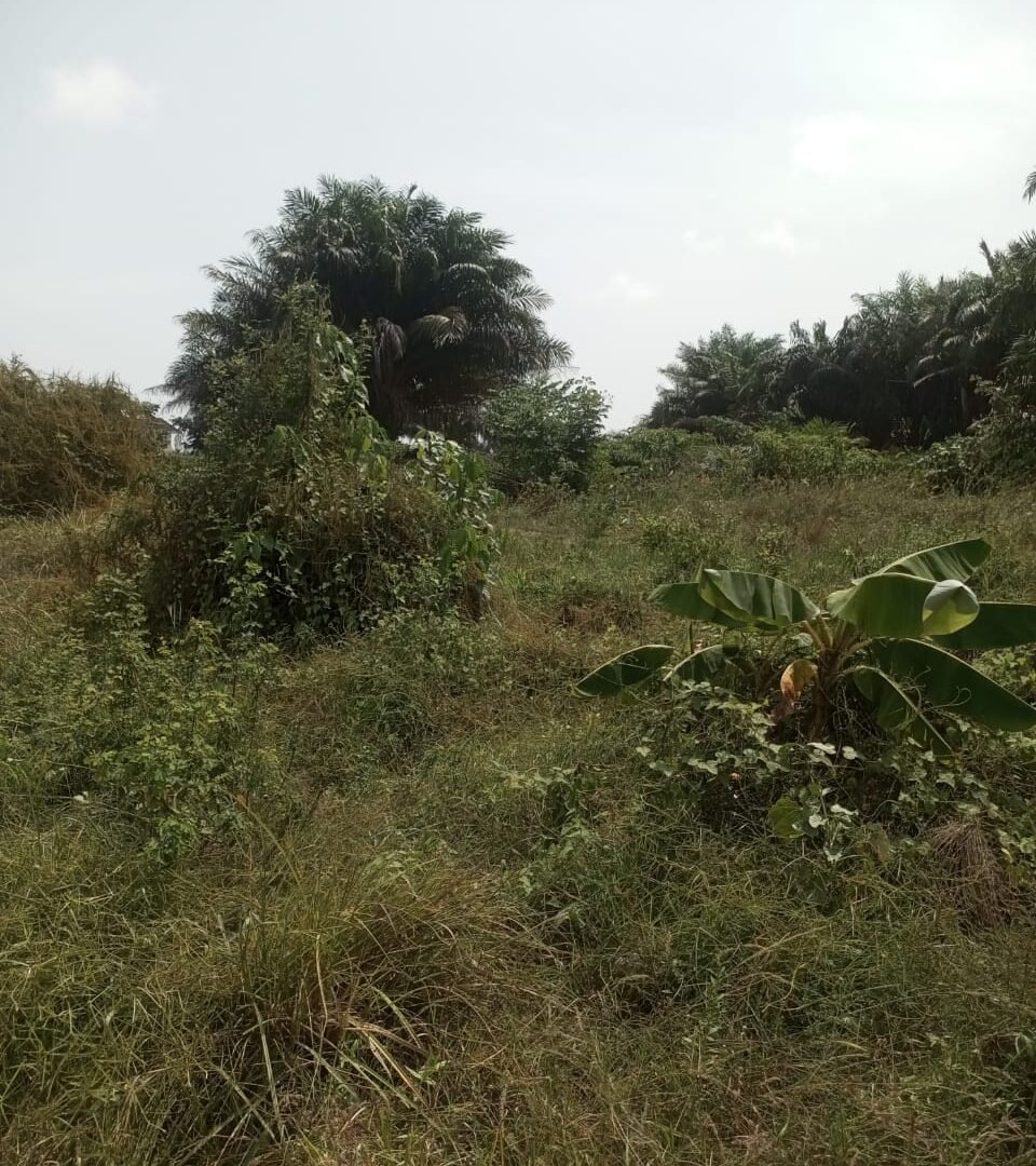 4 bedrooms Maisonette available for rent in Old Ikoyi